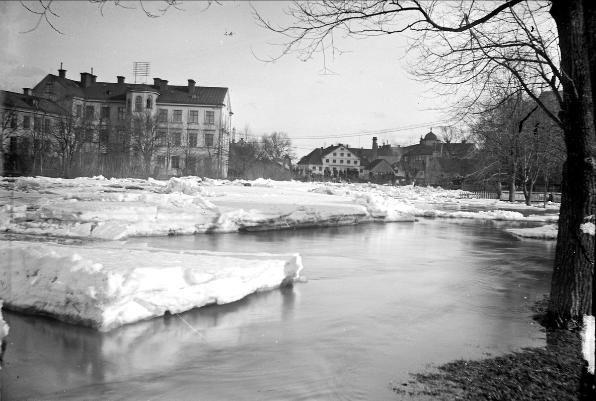 August Fredrik Schagerström, "Svartbäcksgubbar" i Fyrisån, Uppsala