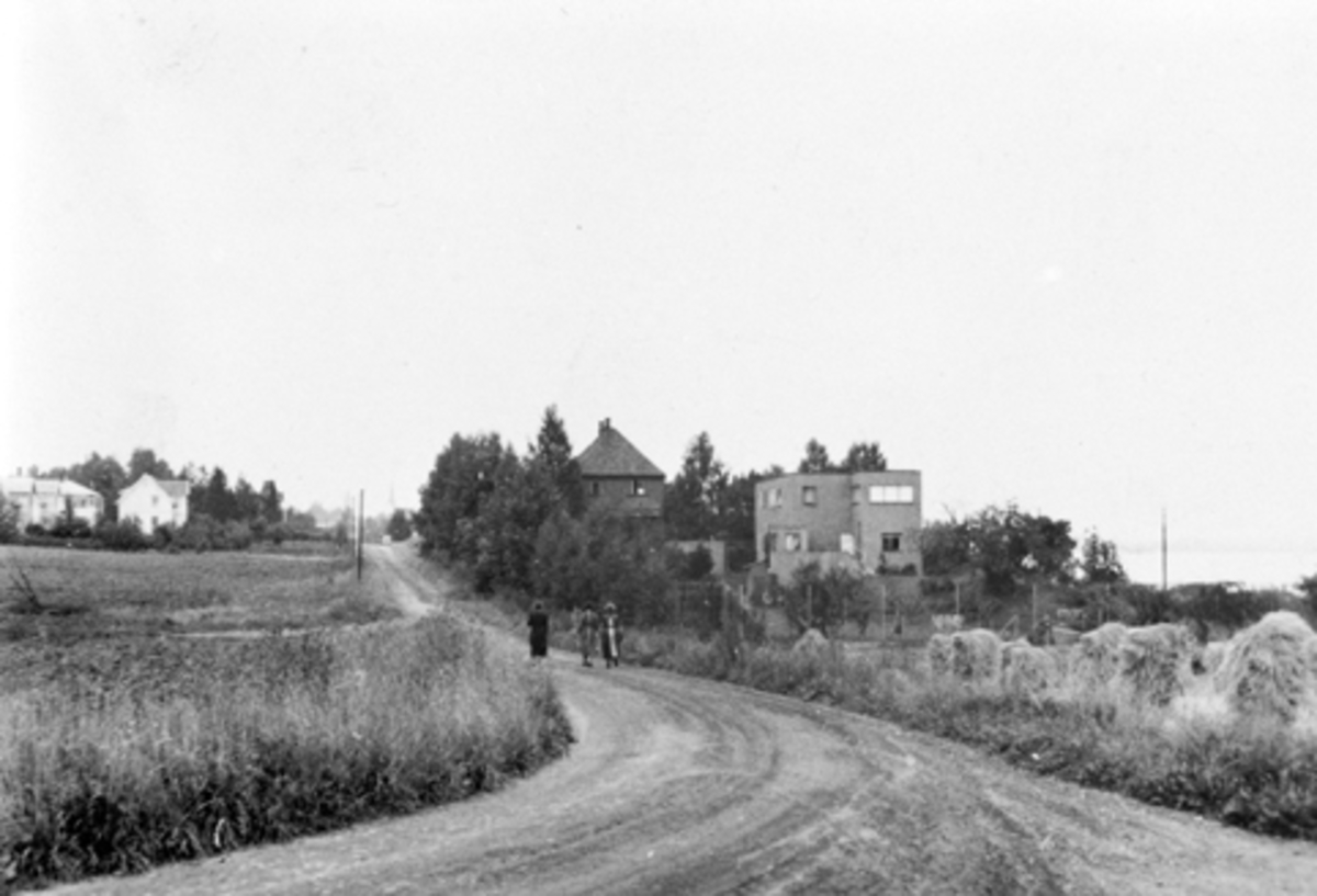 Anno Domkirkeodden, STORHAMARGATA/STRANDVEIEN, RIISEVILLAEN, KORNSNES, TURGÅERE