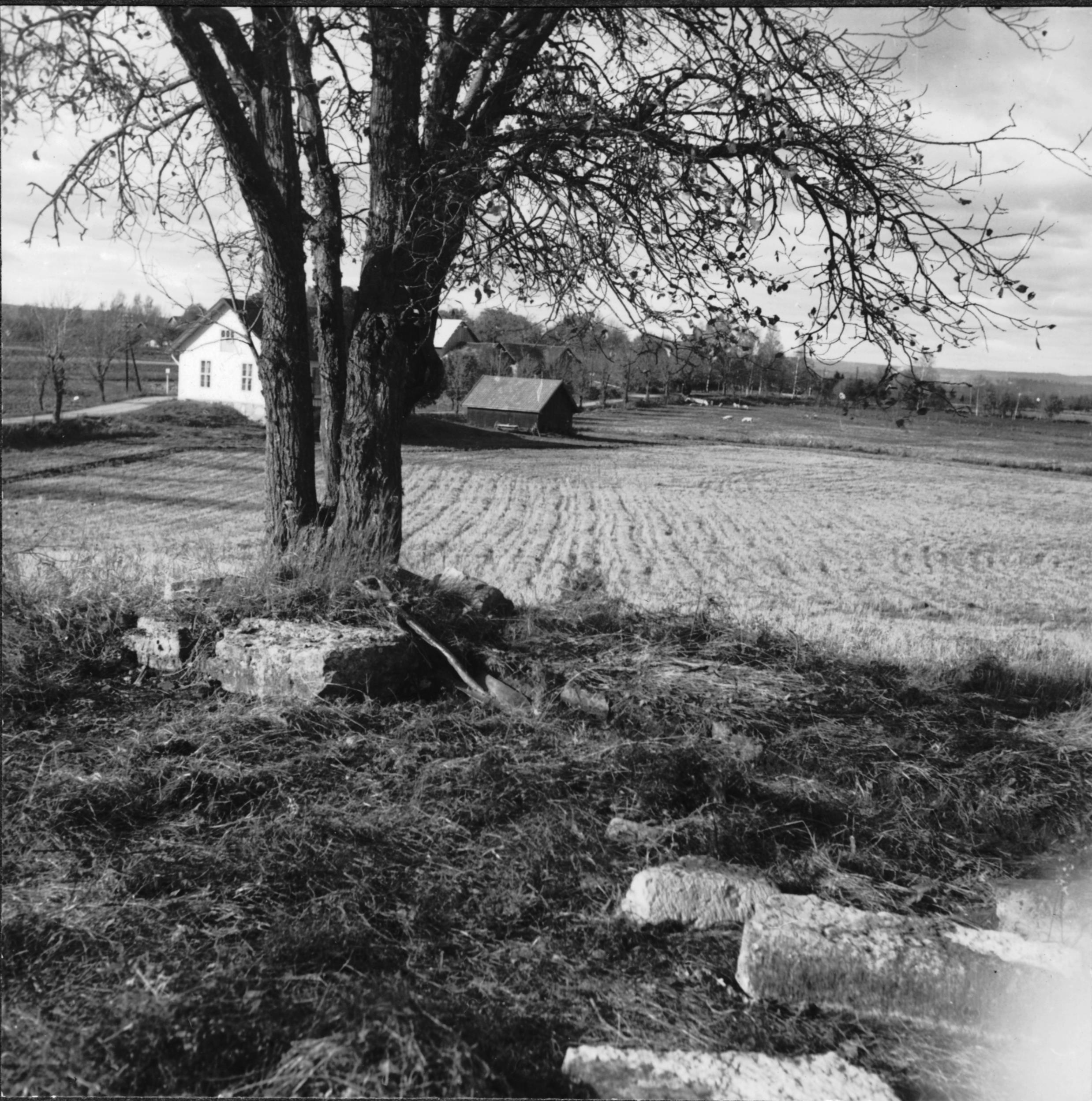 Bertil Waldén, Vintrosa, Granhammars kyrkoruin
