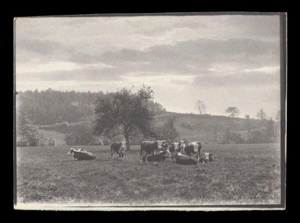 Gale, Lt. Col. Joseph, Rural Life