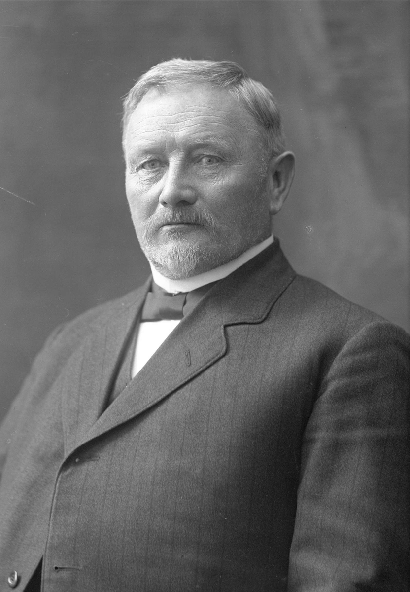 Gustav Borgen, NFB.31463
