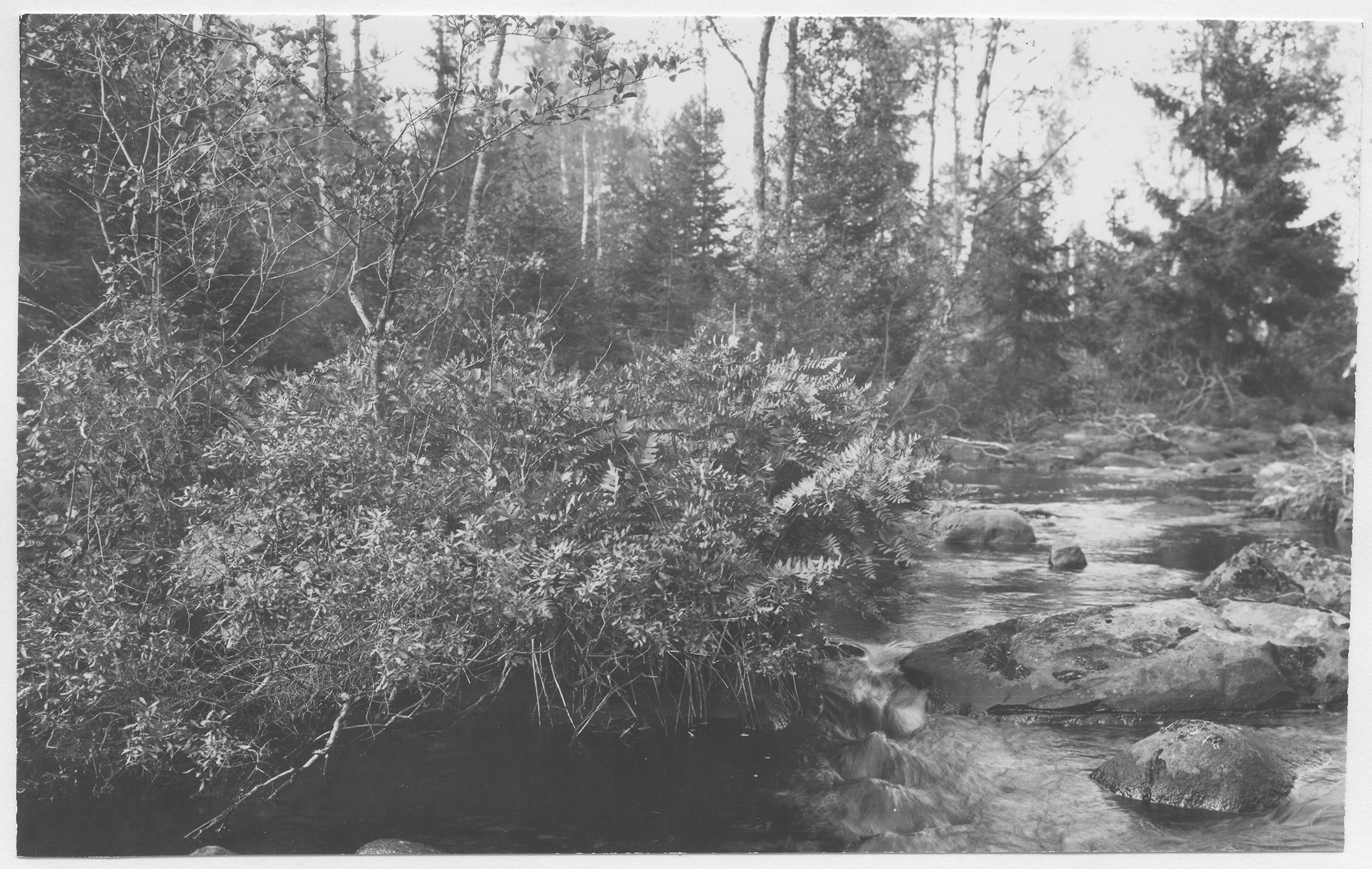 Mårten Sjöbeck, Bodanäs