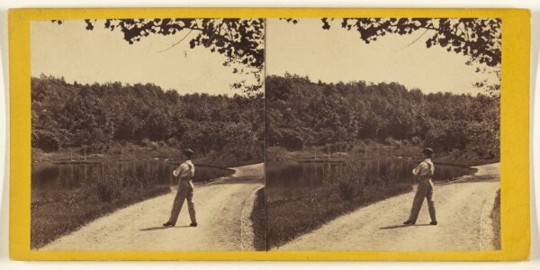 Edward and Henry T. Anthony & Co., Central Park. (New York.) View on the Upper Lake.