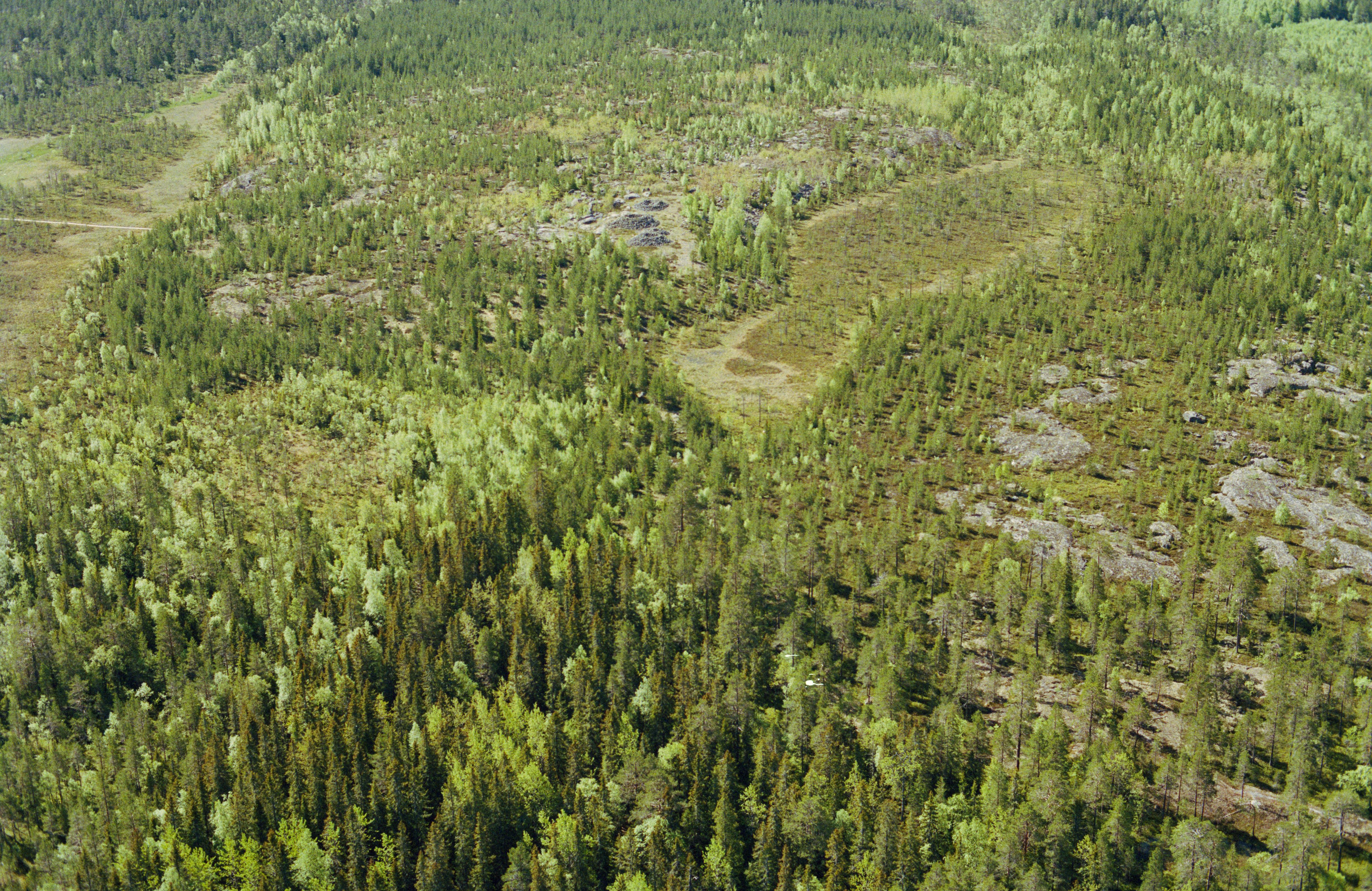 Jan Norrman, Umeå stad 47:1