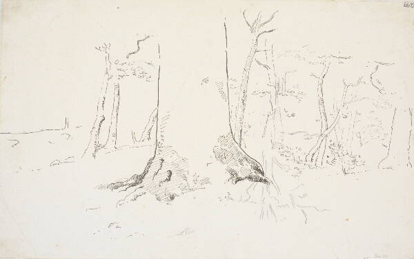 Dankvart Dreyer, Studier i en skov