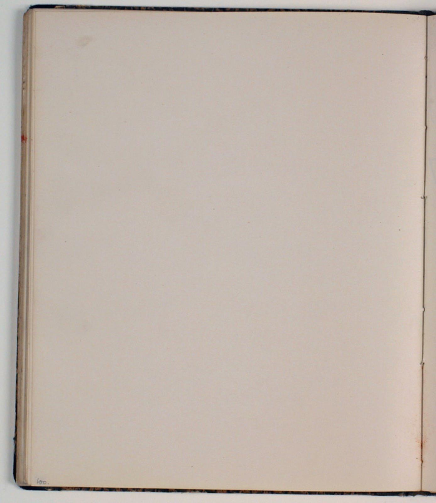 Niels Larsen Stevns, Blank