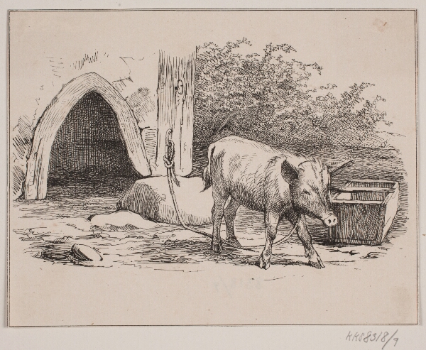 Adolph Kittendorff, Lænkegrisen