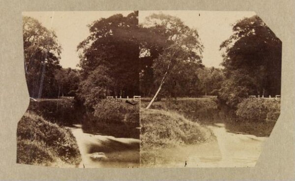 Clementina, Lady Hawarden, Photograph