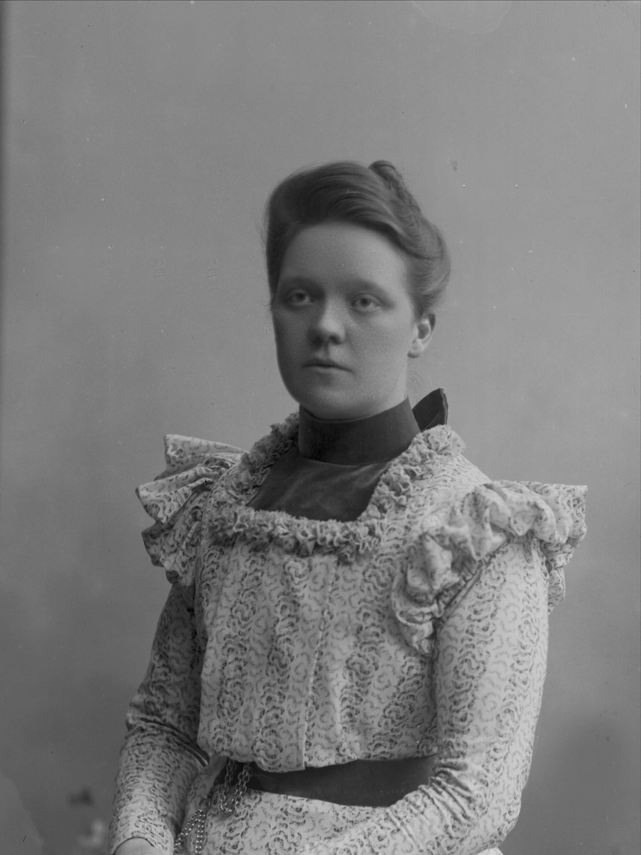 Gustav Borgen, NFB.26015