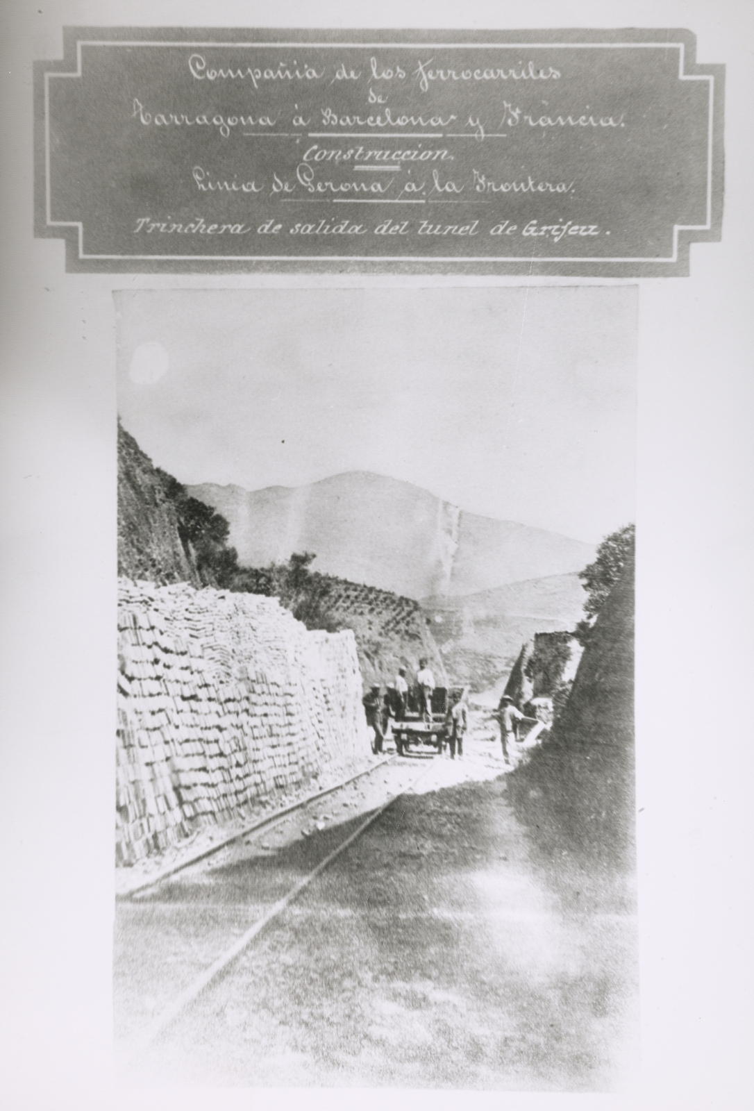Desconegut, Griphy Tunnel Salide Trinchera