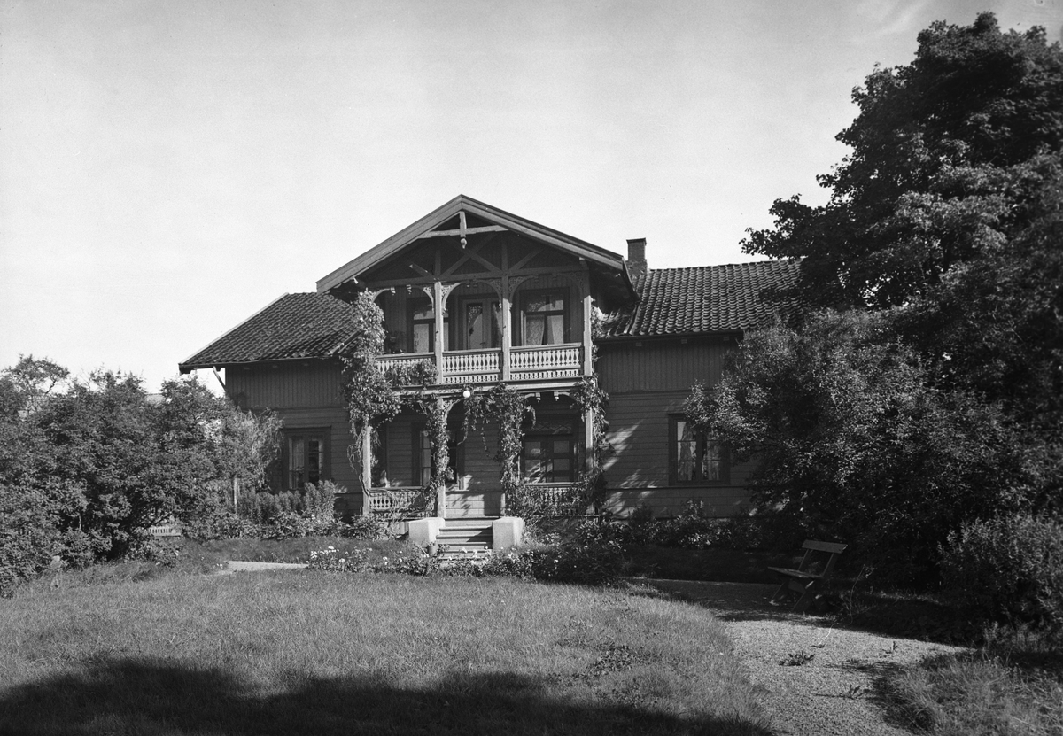 Anders Beer Wilse, Prot: Skøien søndre
