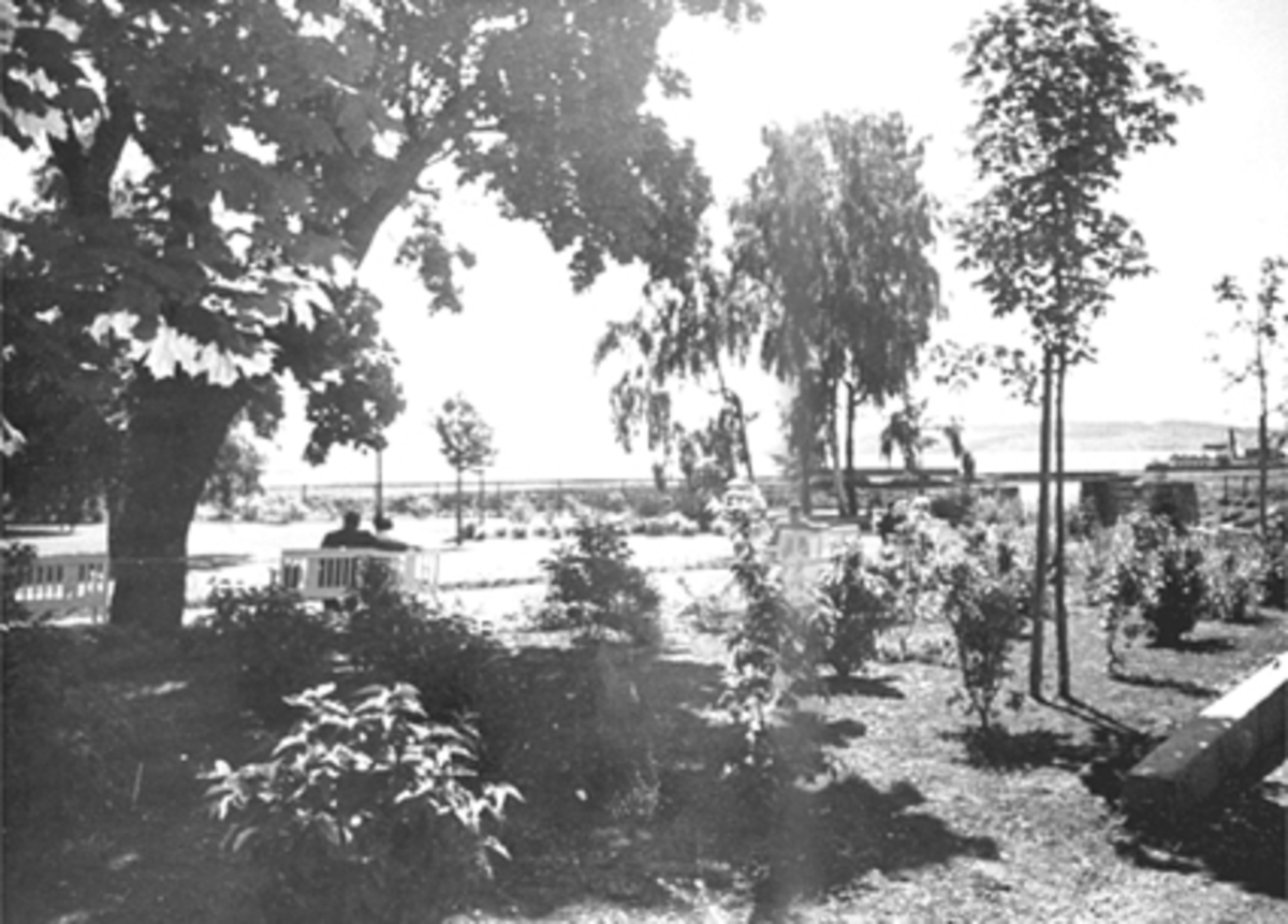 Anno Domkirkeodden, FRA STRANDGATEPARKEN MED BENKER OG FOLK, PLANTER, TRÆR OG JERNBANEUNDERGANG