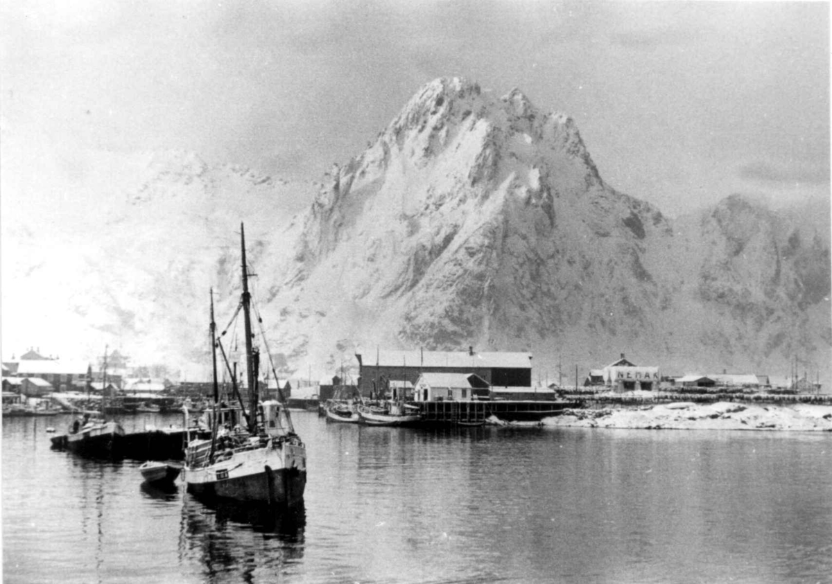 Anders Beer Wilse, Lofotfiske
