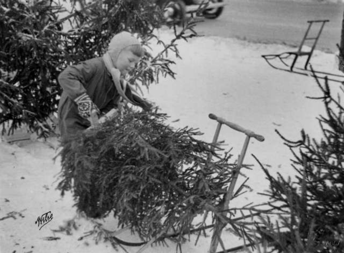 Anders Beer Wilse, -7434