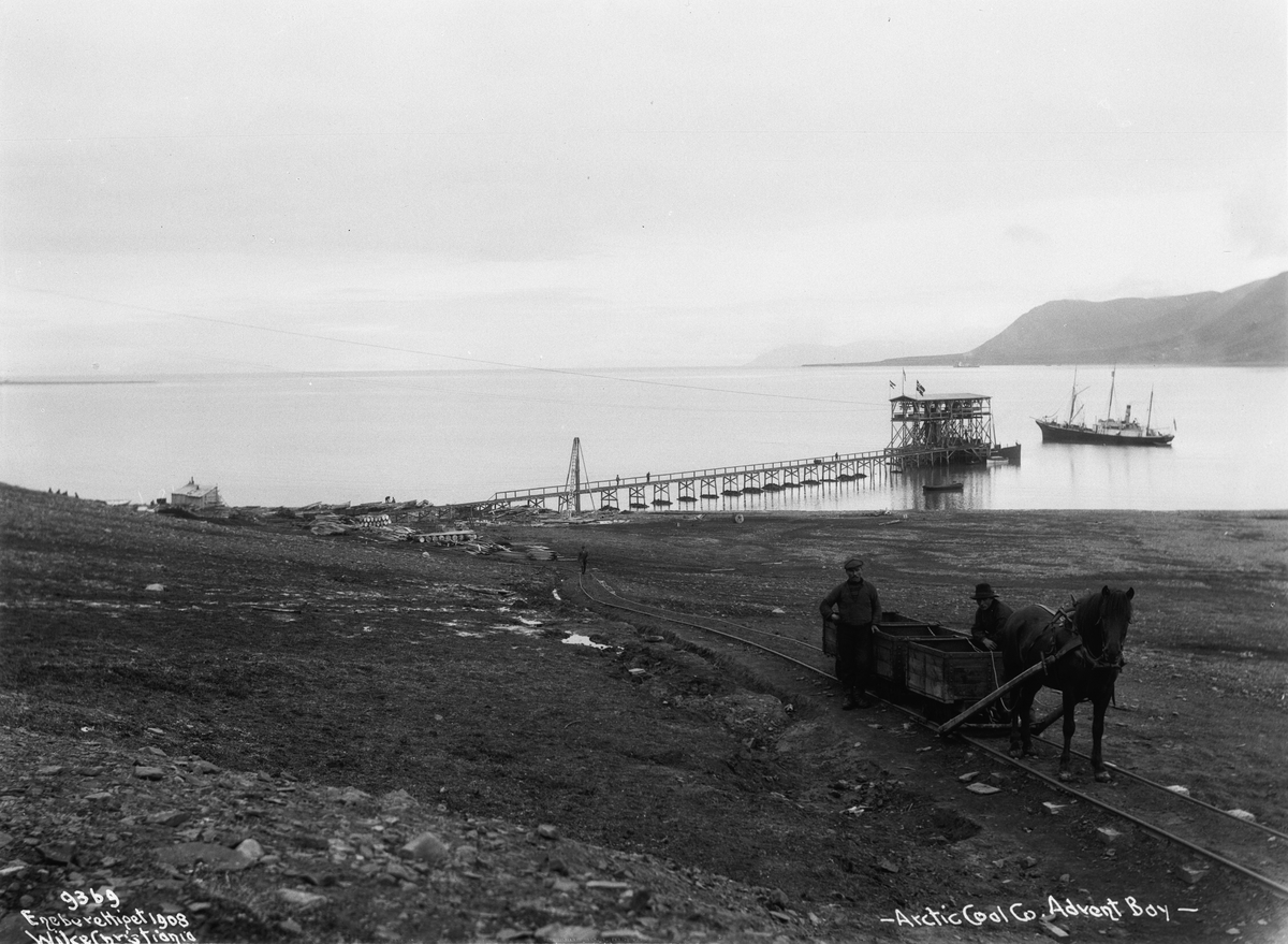 Anders Beer Wilse, Prot: Longyear City - Kuldok og Hestetransport 19/8 1908