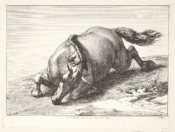 Jan van Huchtenburg, Falden hest