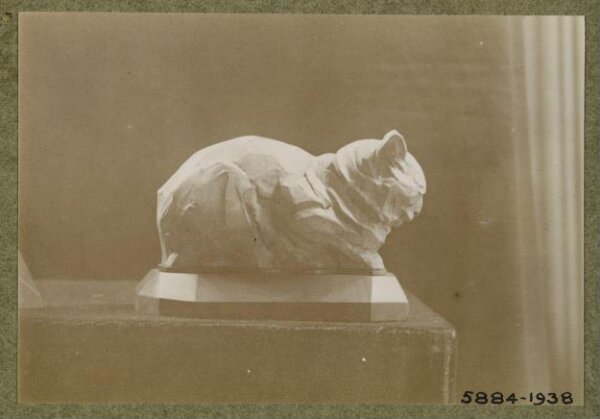 unknown, Photograph