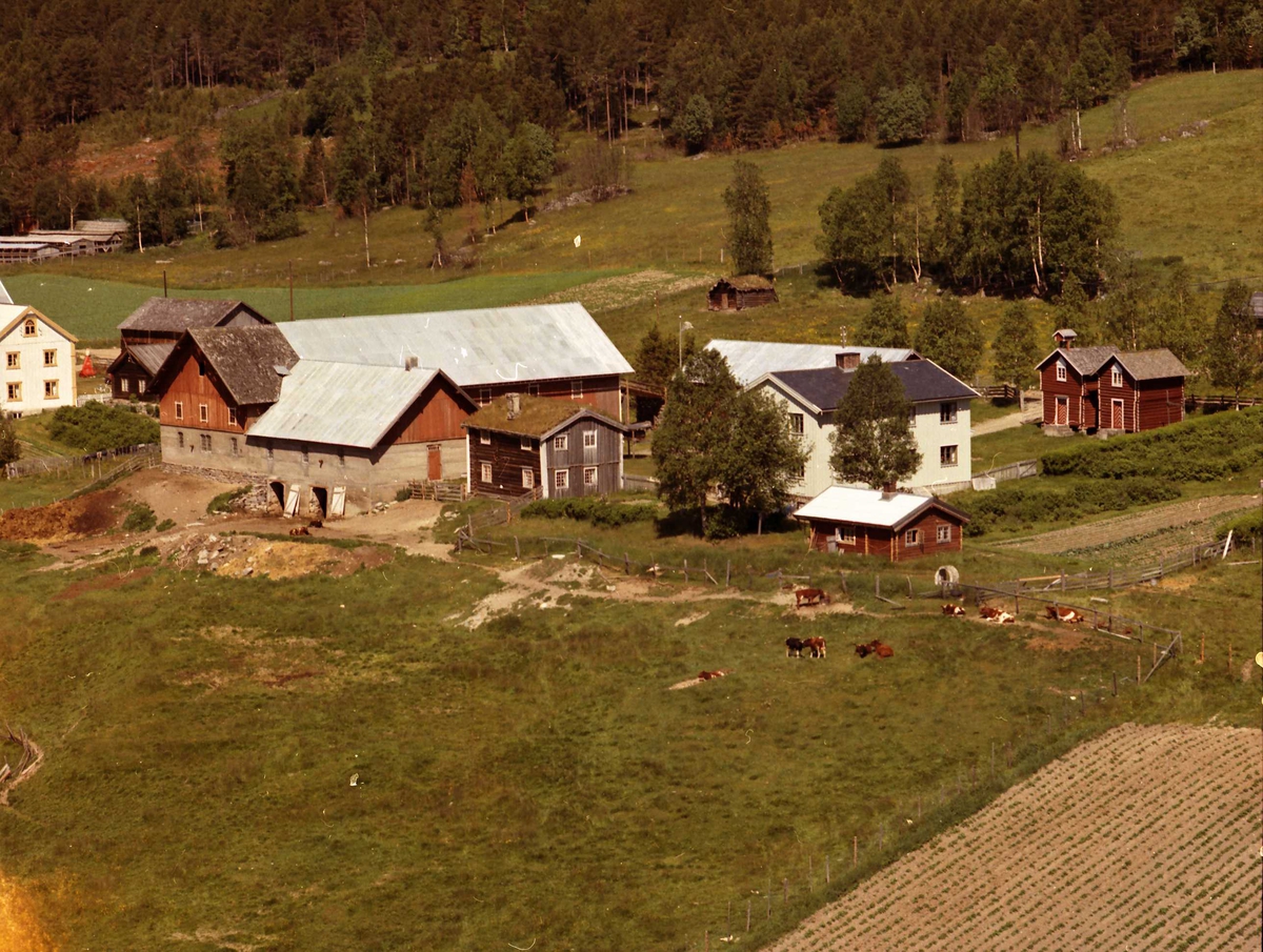 Widerøes Flyveselskap A/S, Gårdsbruk.