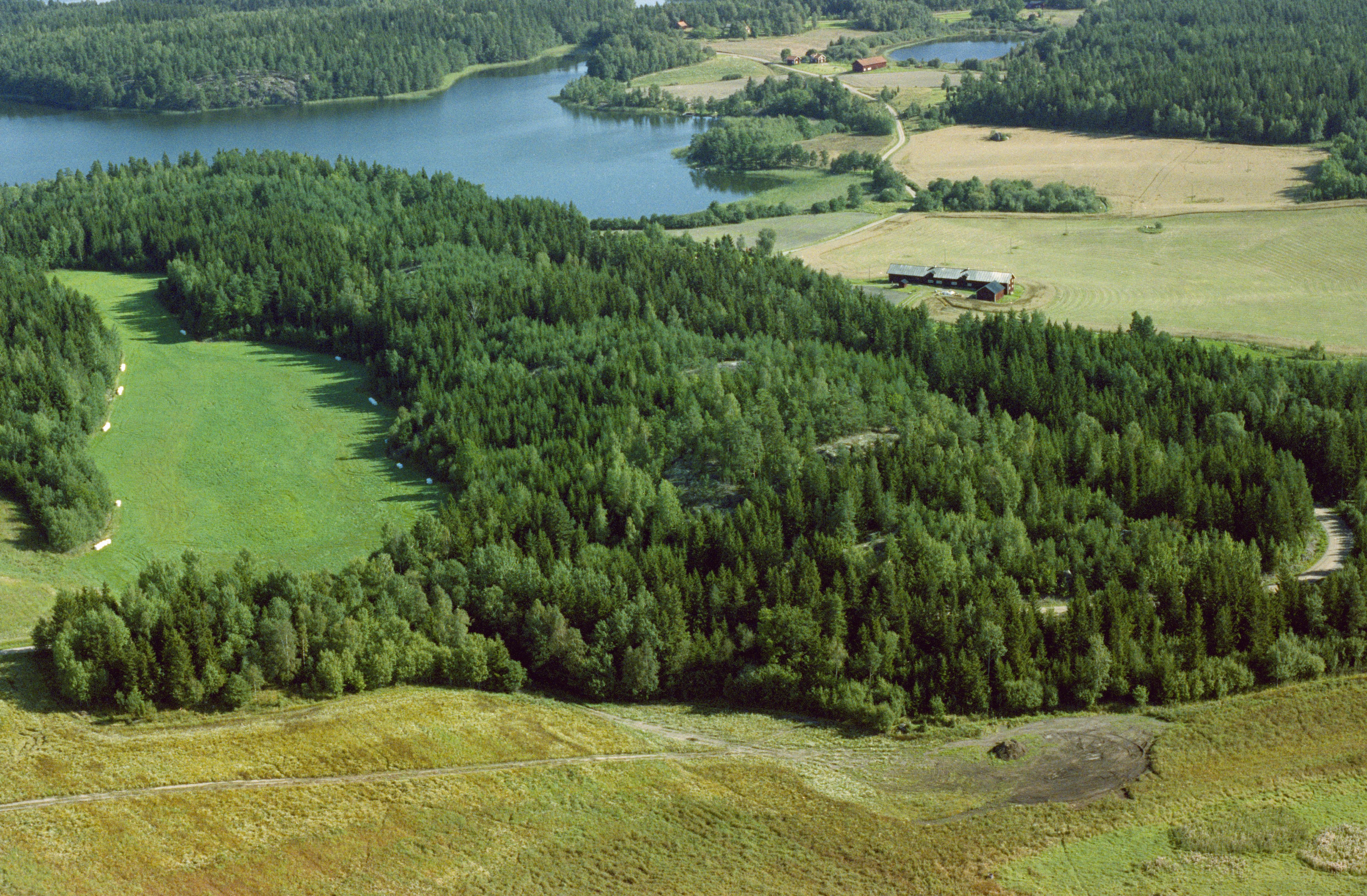 Jan Norrman, Helgesta 36:1