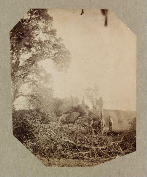 Clementina, Lady Hawarden, Photograph
