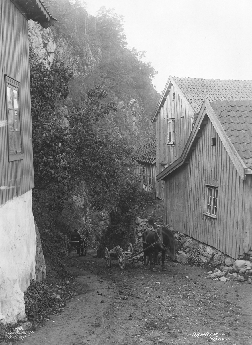 Anders Beer Wilse, Prot: Holmestrand - Kleiva 4. Oct. 1903