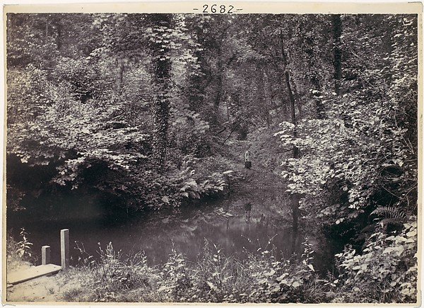 Francis Bedford, Colwyn Bay. The Pool in the Wood