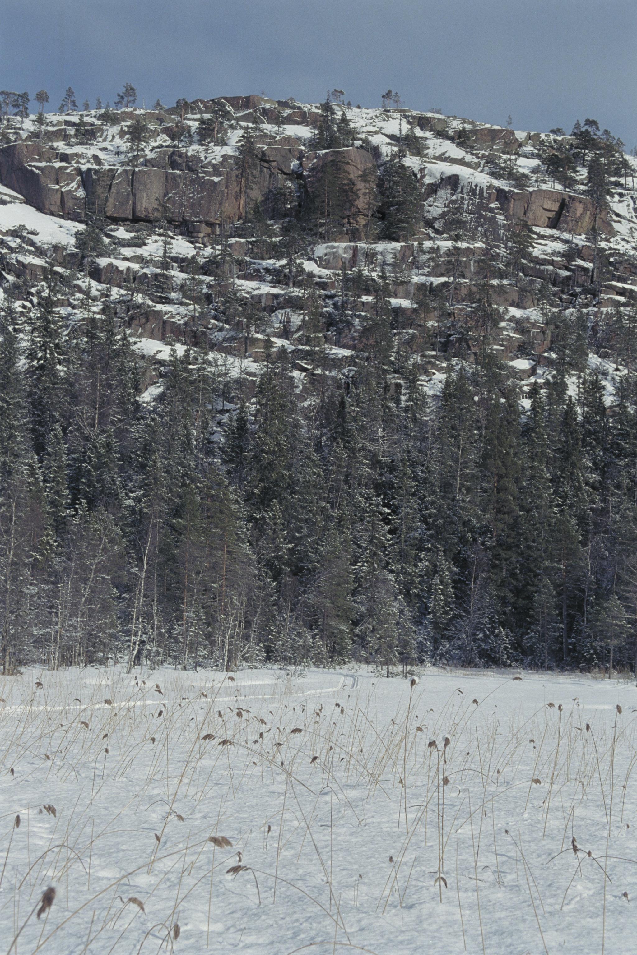 Bengt A Lundberg, Skuleskogens Nationalpark