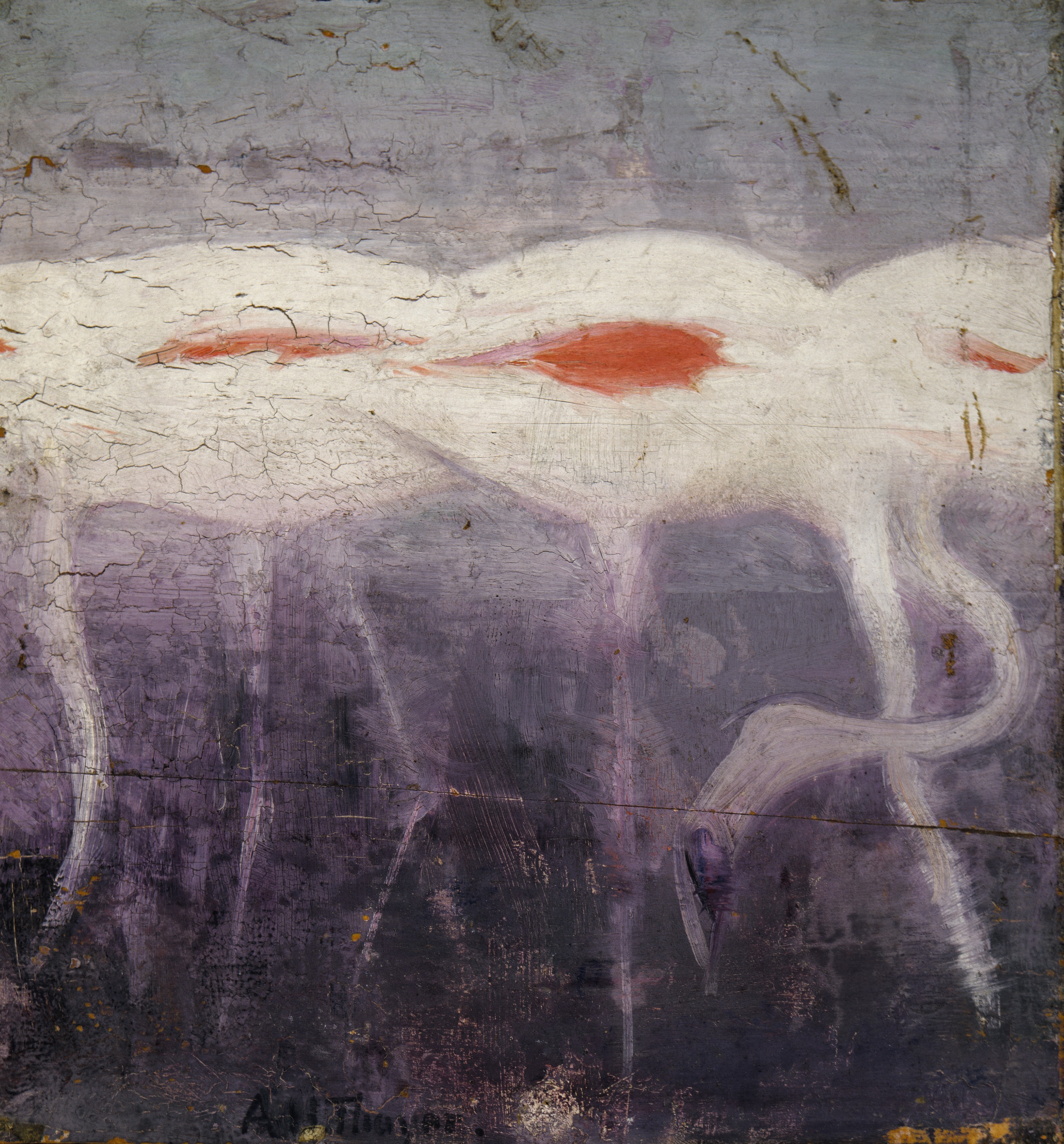 Abbott Handerson Thayer, White Flamingoes, study for book Concealing Coloration in the Animal Kingdom