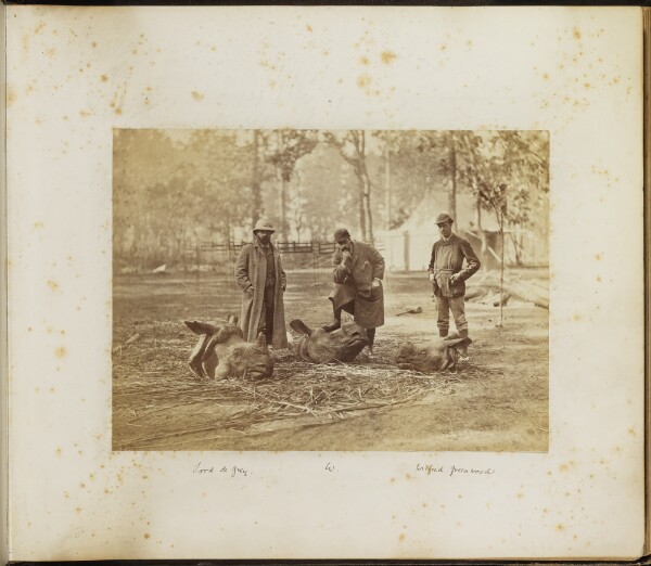 Unknown, [Portrait of Three Men with rhinoceros heads]