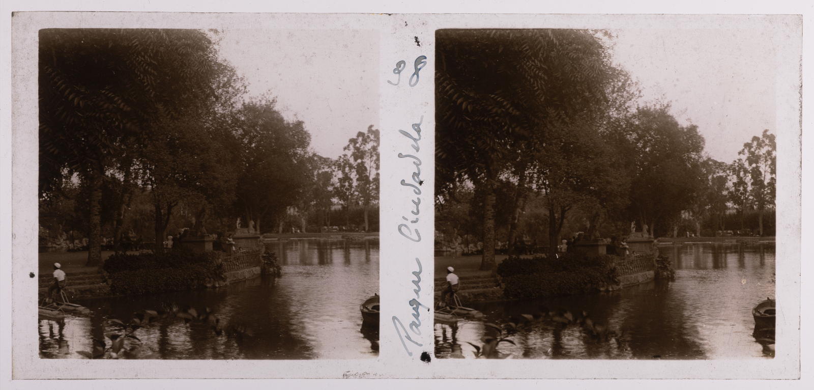 Desconegut, Citadel Park