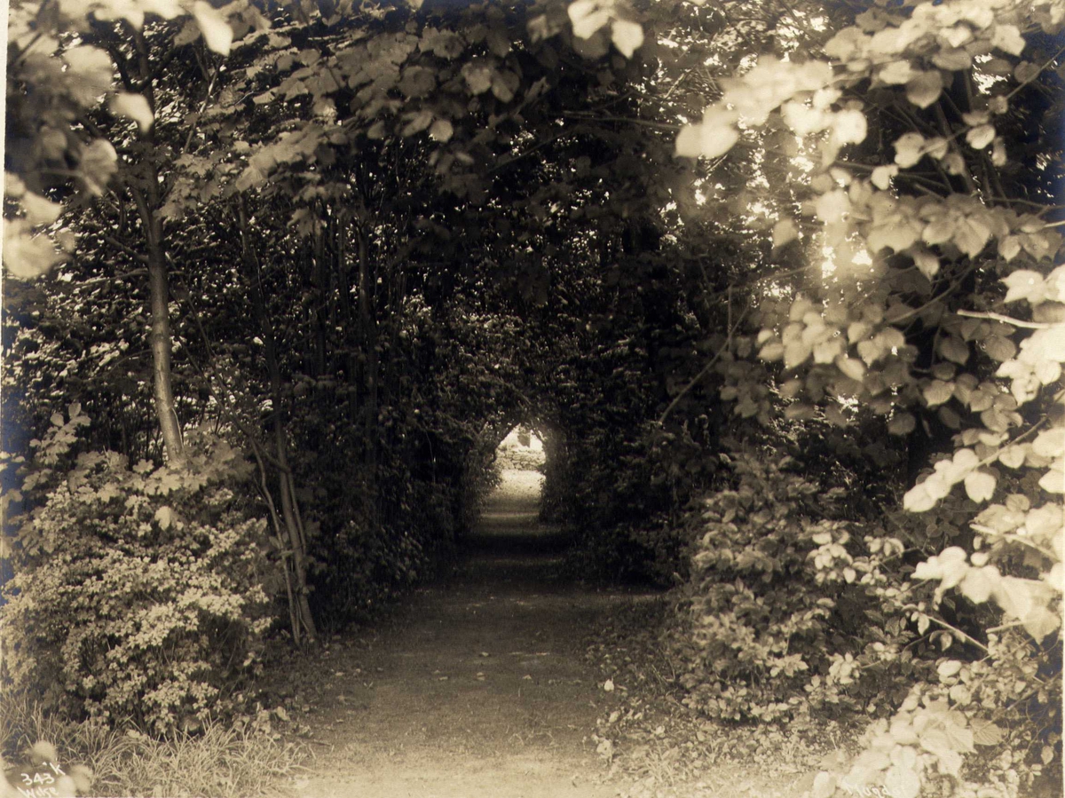 Anders Beer Wilse, Parken i Skrivergården, Mandal, Vest-Agder. Fotografert 1912.