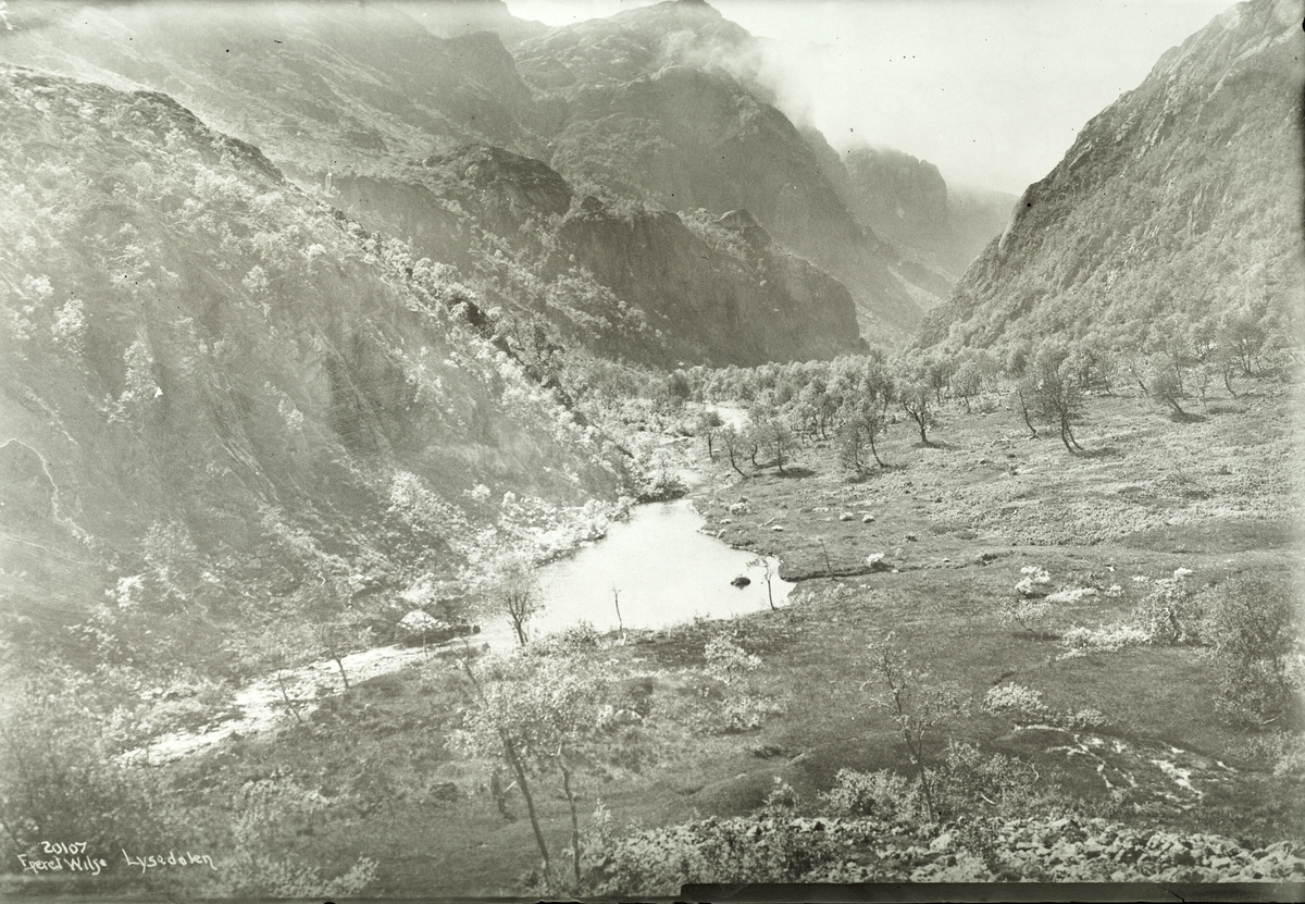Anders Beer Wilse, Prot: Lysedalen