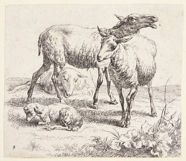 Nicolaes Berchem, To stående får og et lam