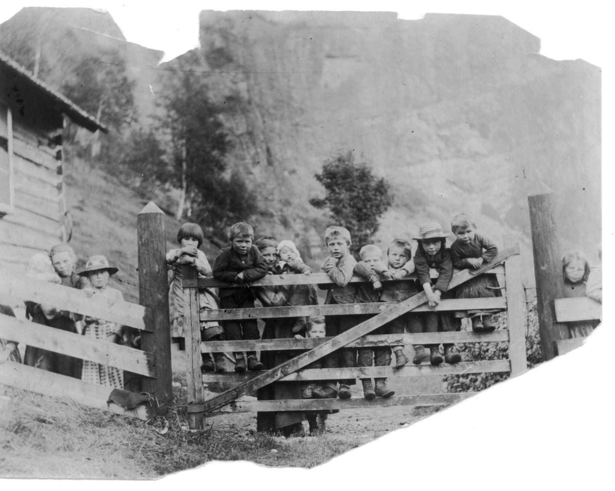 Robert Collett, Gruppe barn ved grind, Voss, Hordaland. Serie tatt av Robert Collett (1842-1913), amatørfotograf og professor i zoologi.