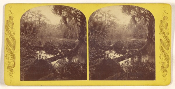 Unknown, Gem of the Ocklawaha River