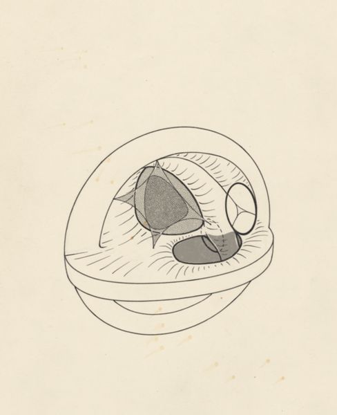 J Tinkelenberg, Schematic representation of a part of the heart