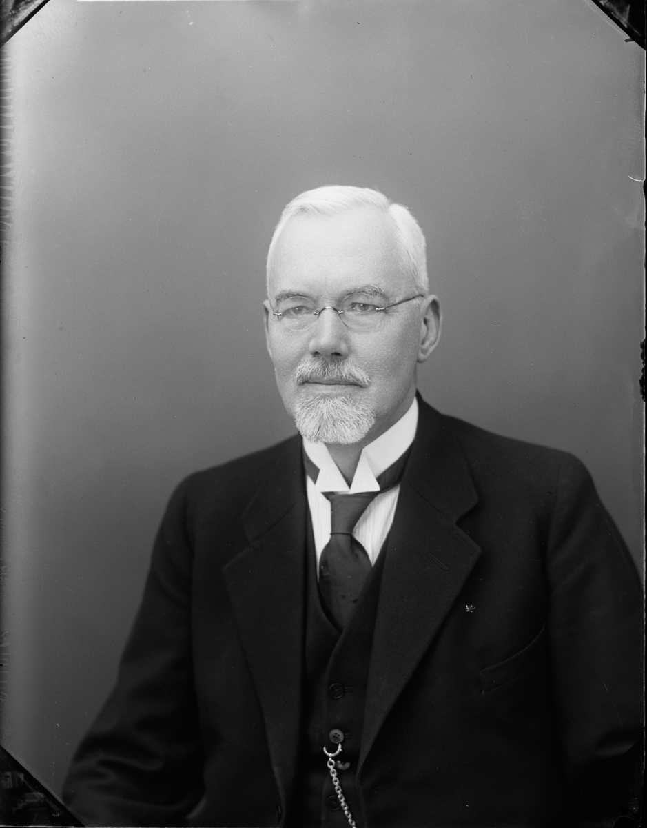 Skötsner-Edhlund, Ateljéporträtt - Beronius, Östhammar, Uppland