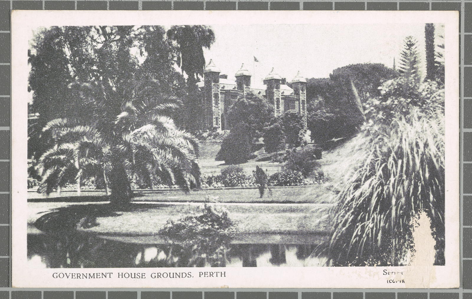 Desconegut, Government house grounds. Perth