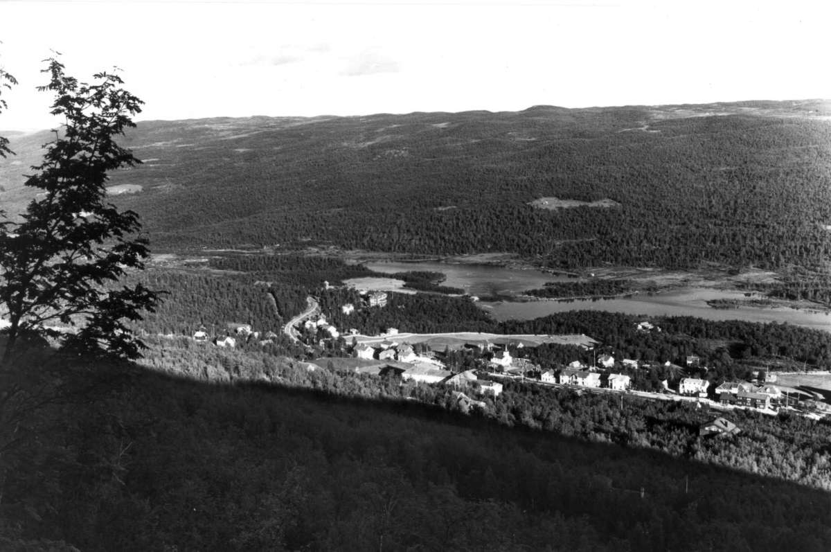 Hermann Christian Neupert, Geilo, Hallingdal. Oversiktsbilde av tettbebyggelse, skog, åser og fjell. Vann i dalbunnen.