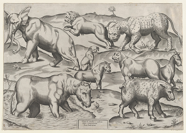 Anonymous, Wild Animals, from antique wall paintings, plate 2, from "Speculum Romanae Magnificentiae"