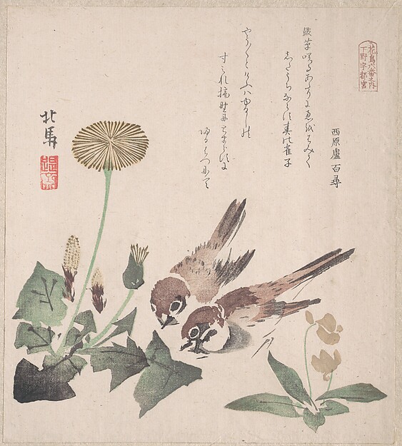 Teisai Hokuba, Spring Rain Collection (Harusame shū), vol. 3: Sparrows and Dandelions