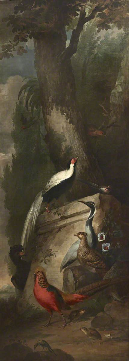 Aert Schouman, Red, Gold and Silver Pheasants and a Crane