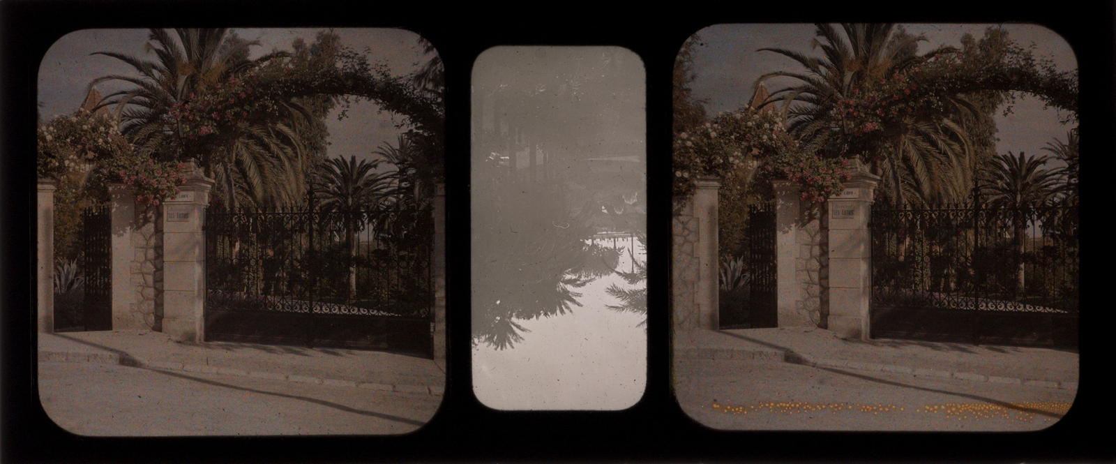 Desconegut, [Jardins]