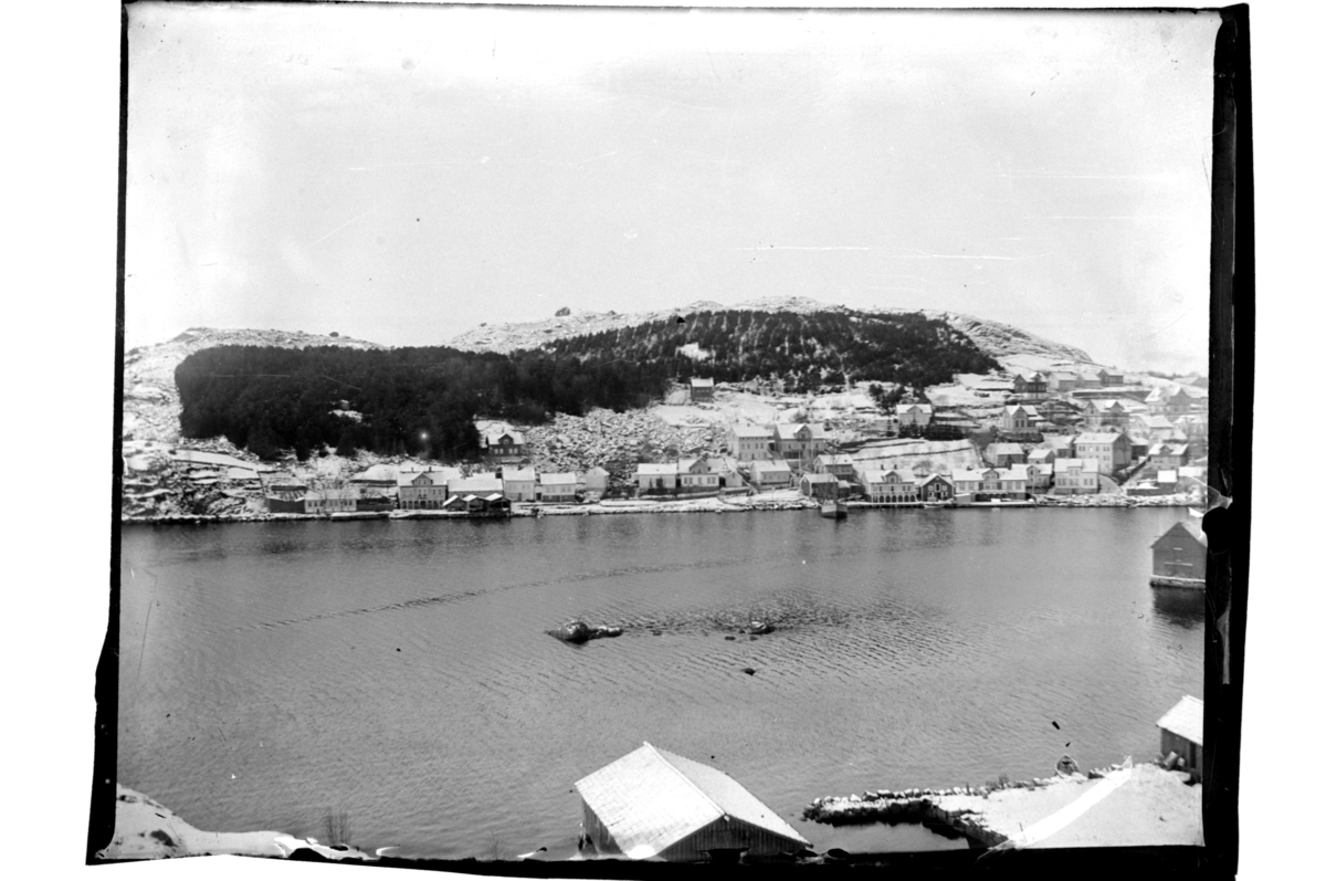 Rolf Sr. Sundt, Utsikt fra Engø mot Svinehagen, Farsund. Fotografert 1900-01.