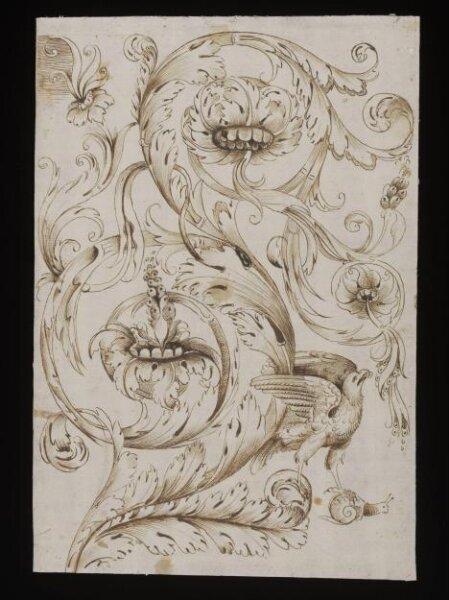 Unknown, Decorative acanthus scrollwork with bird of prey and snail
