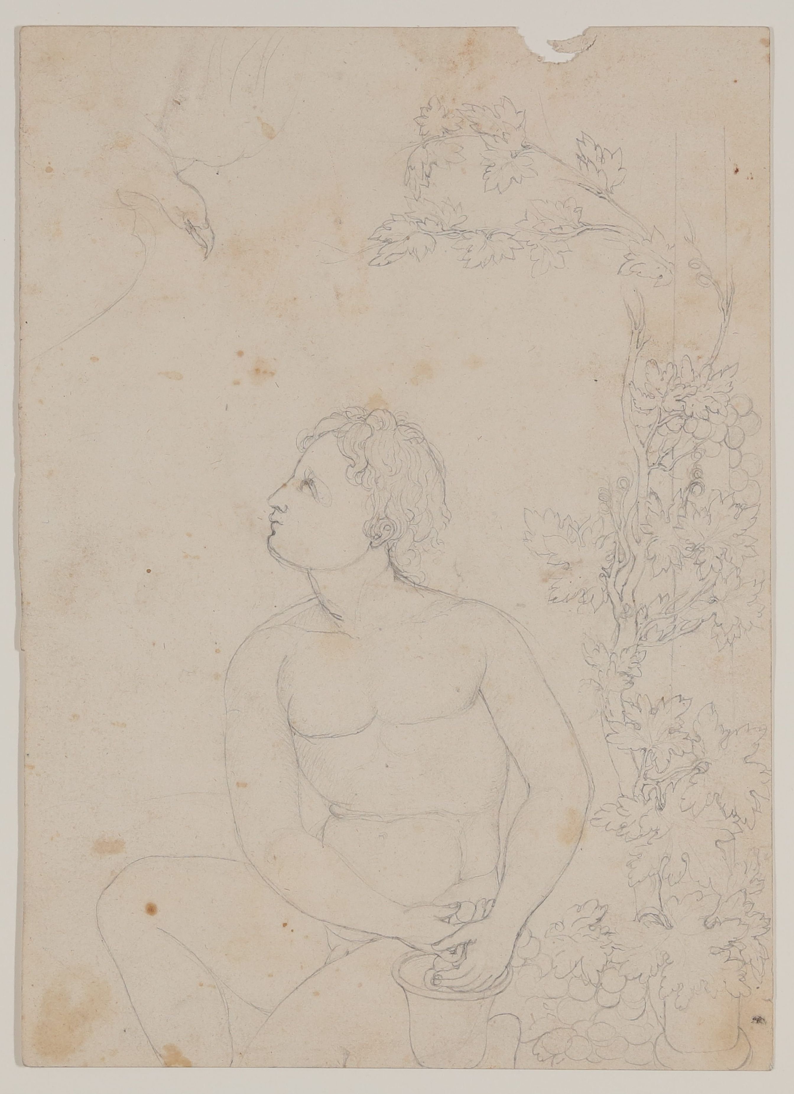Bettine von Arnim, Ganymed [aus Mappe III aus dem Sommerhoff-Nachlass]
