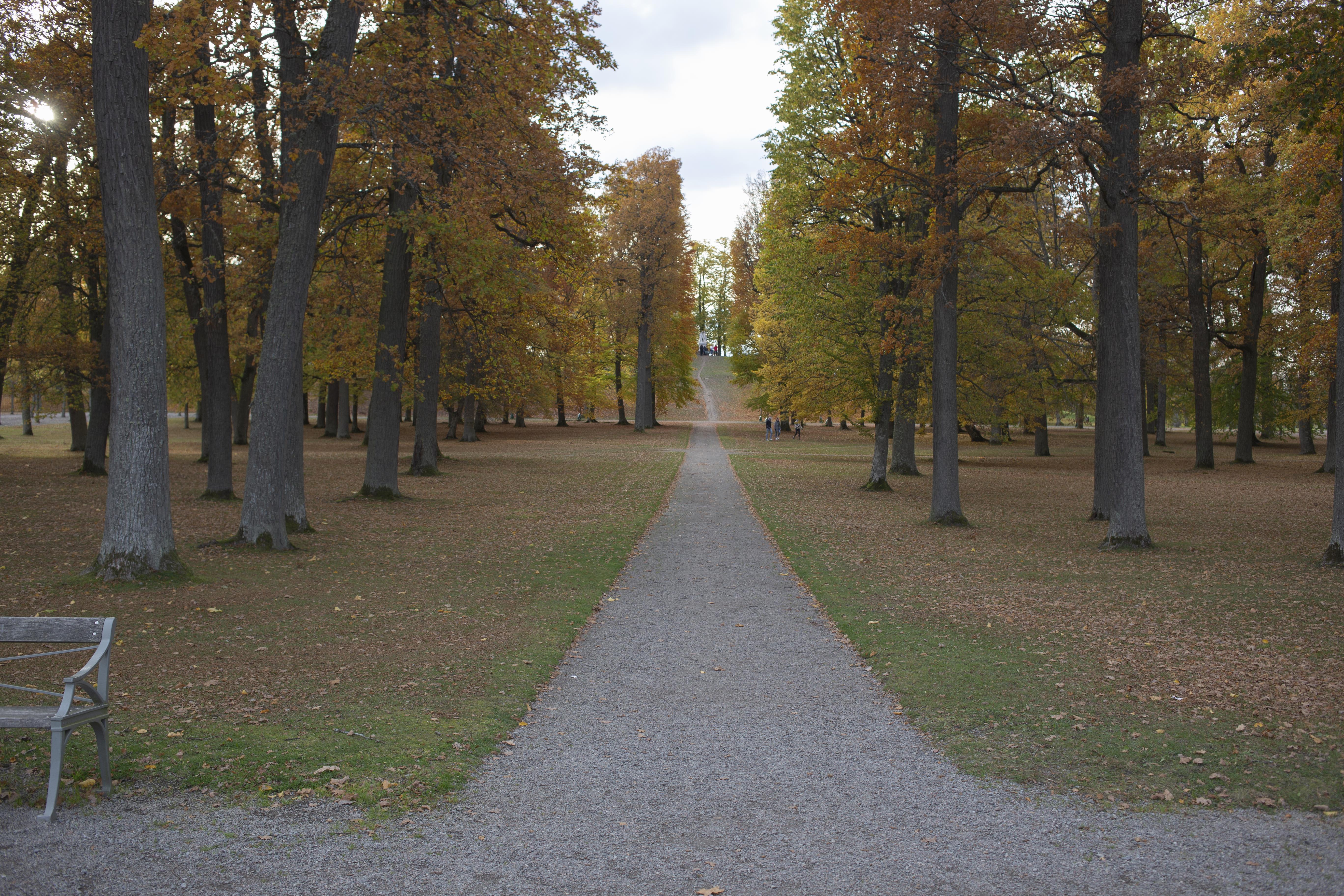 Leif Gren, Drottningholm