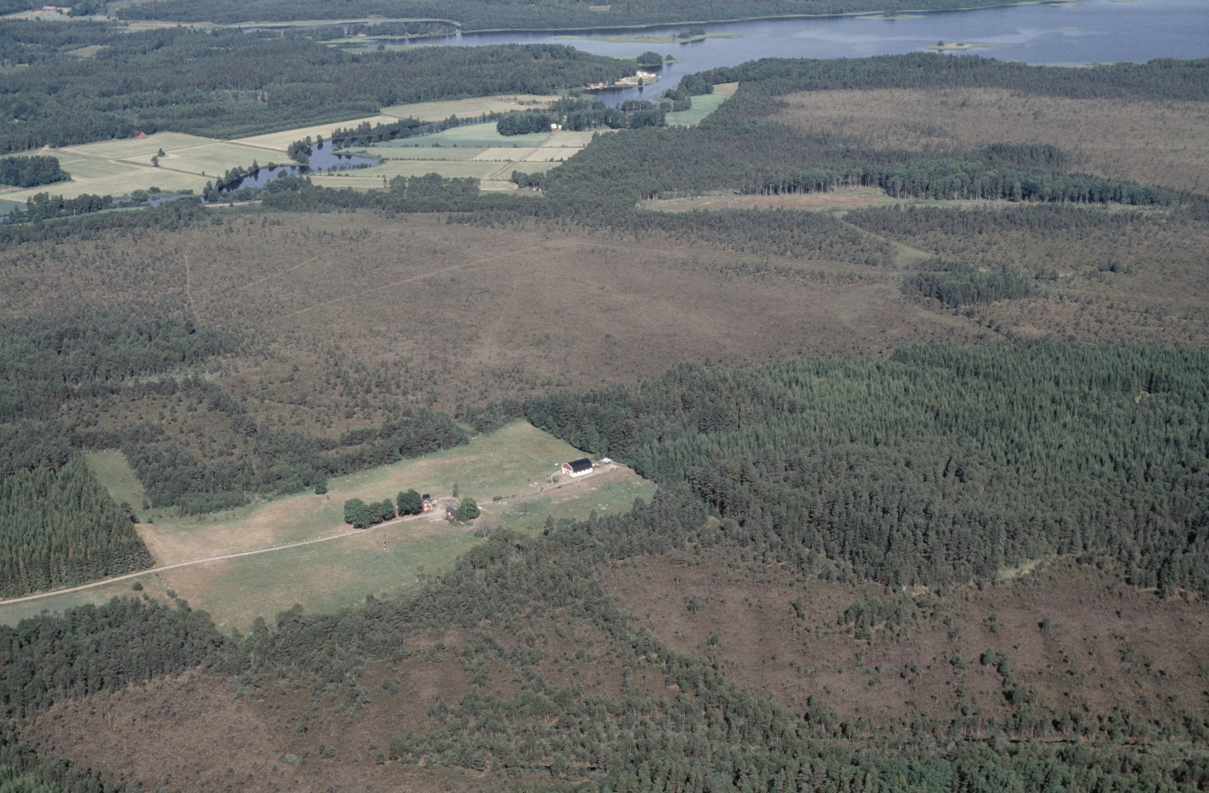 Jan Norrman, Kullarna