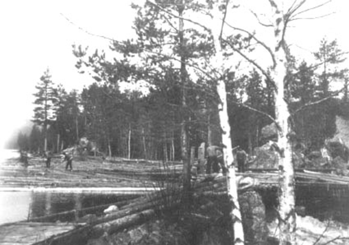 Anno Domkirkeodden, TØMMERFLØTING, UTISLAG, BUNTJERNSDAMMEN, ROMEDAL,