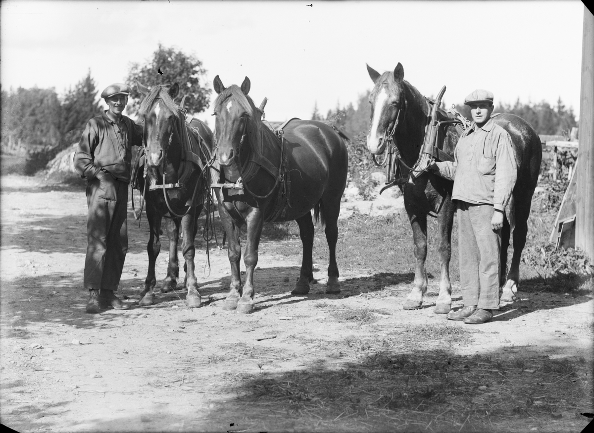 Skötsner-Edhlund, Män med hästar, Uppland